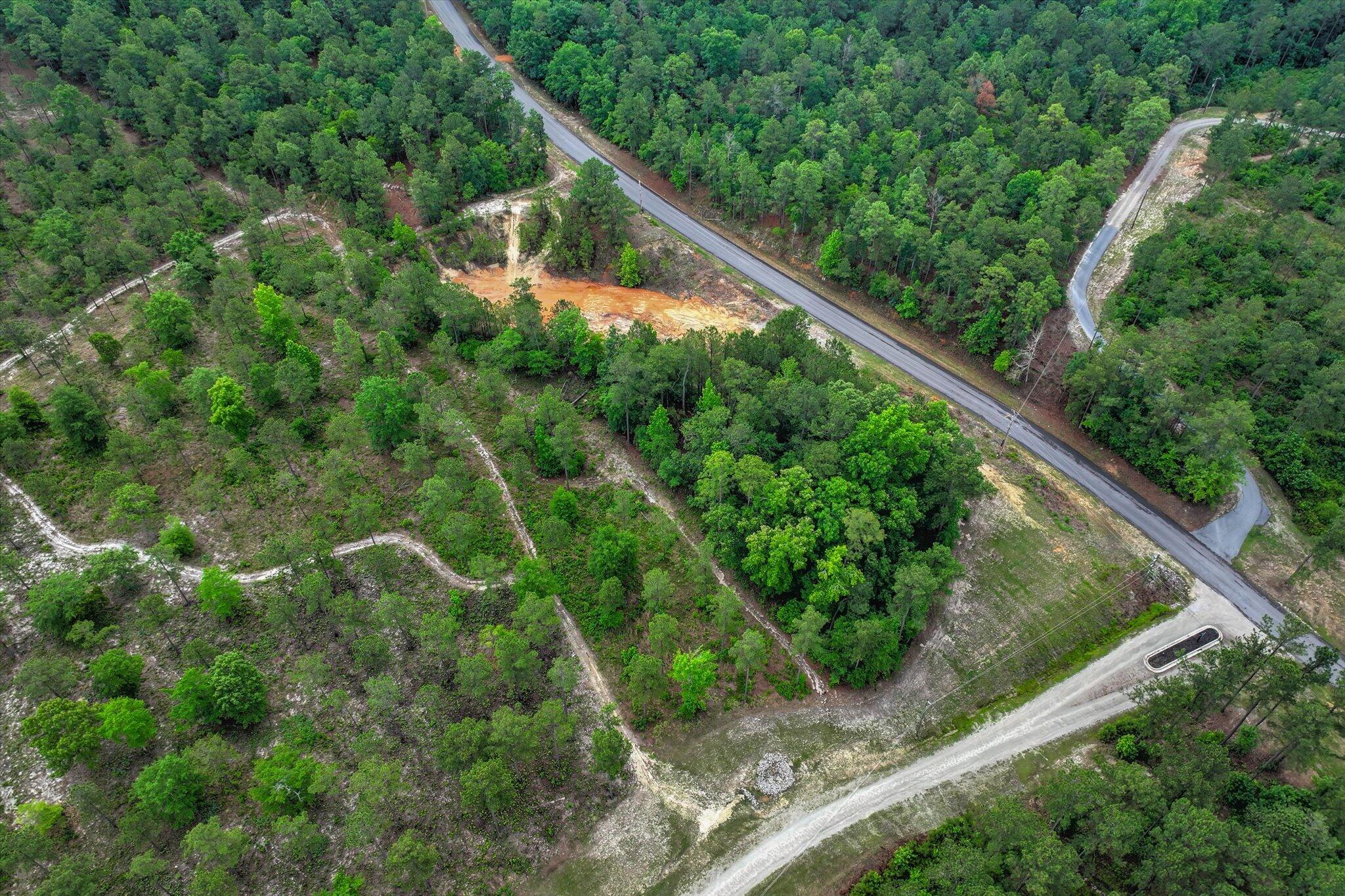 0 Mt Zion Road, Unit 1 Trenton, SC 29847 - Photo 4 of 19