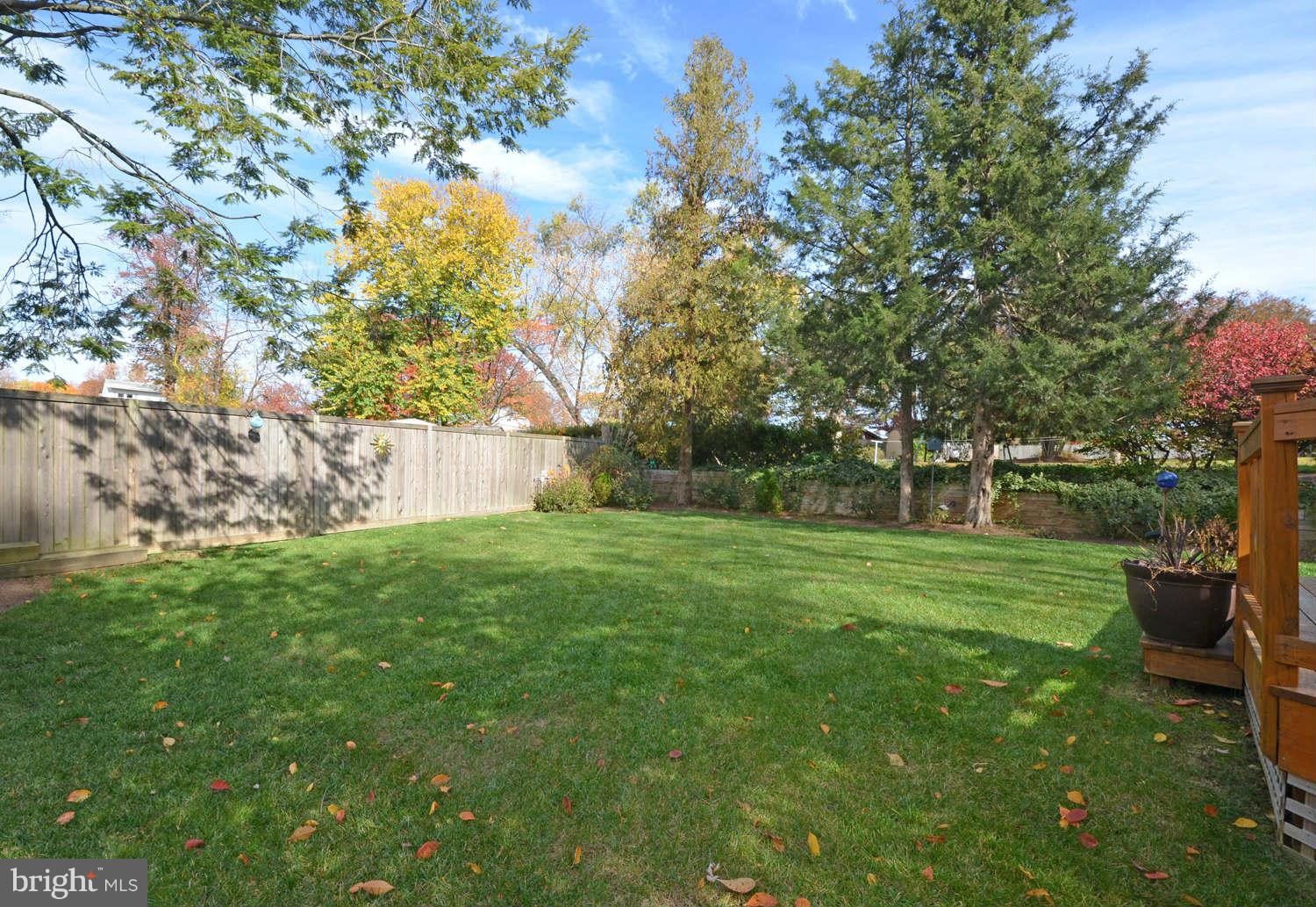 425 Kerwin Road Silver Spring, MD 20901 - Photo 23 of 23 Exterior (Rear)