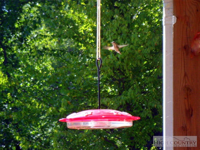 1296 Rustic Road West Jefferson, NC 28694 - Photo 12 of 30 Gallery Image 12