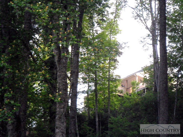 1296 Rustic Road West Jefferson, NC 28694 - Photo 24 of 30 Gallery Image 24