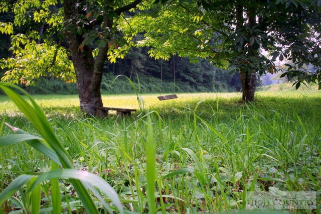 1296 Rustic Road West Jefferson, NC 28694 - Photo 10 of 30 Gallery Image 10