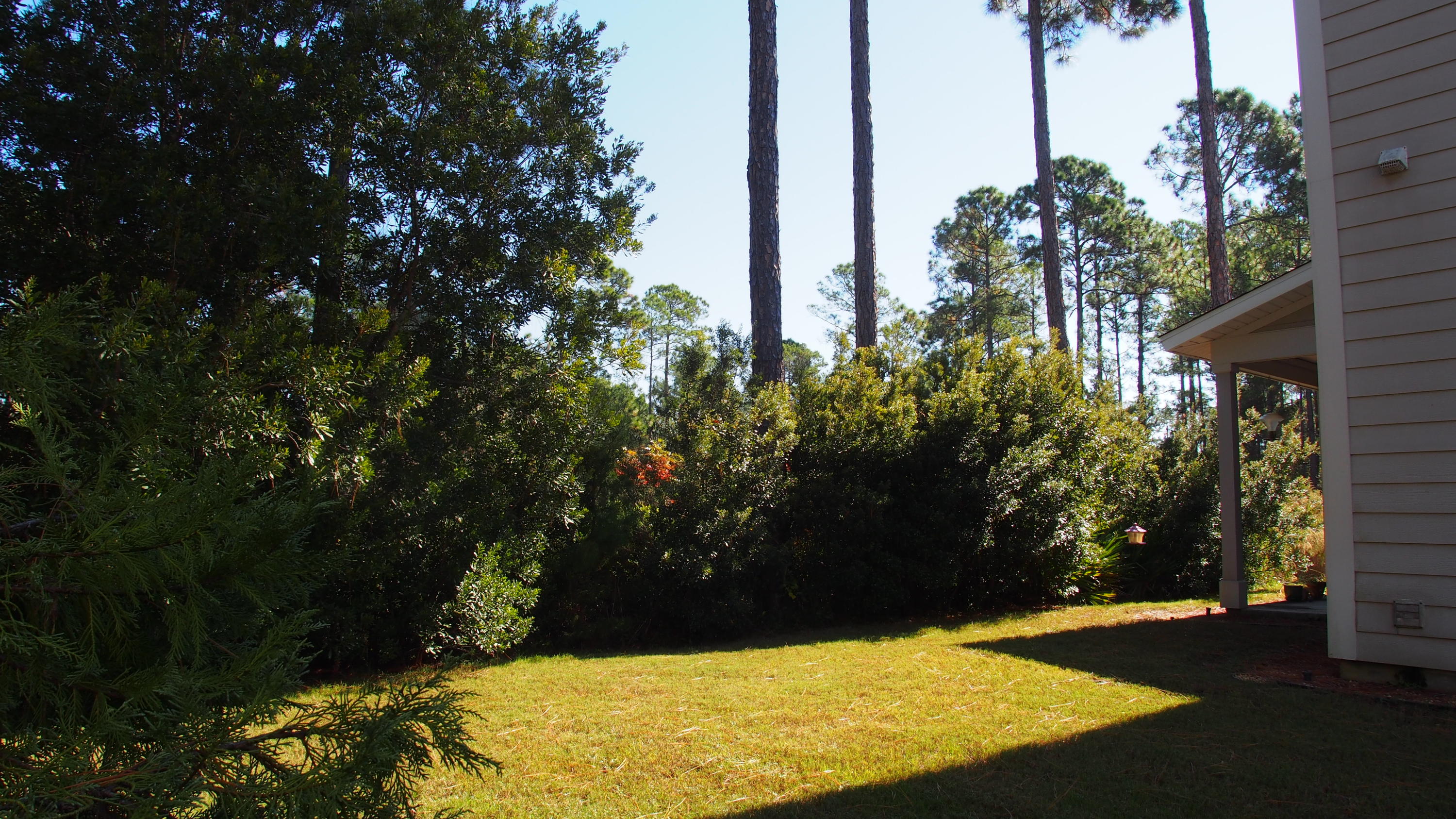 201 Hackberry Way Santa Rosa Beach, FL 32459 - Photo 2 of 24 Gallery Image 2