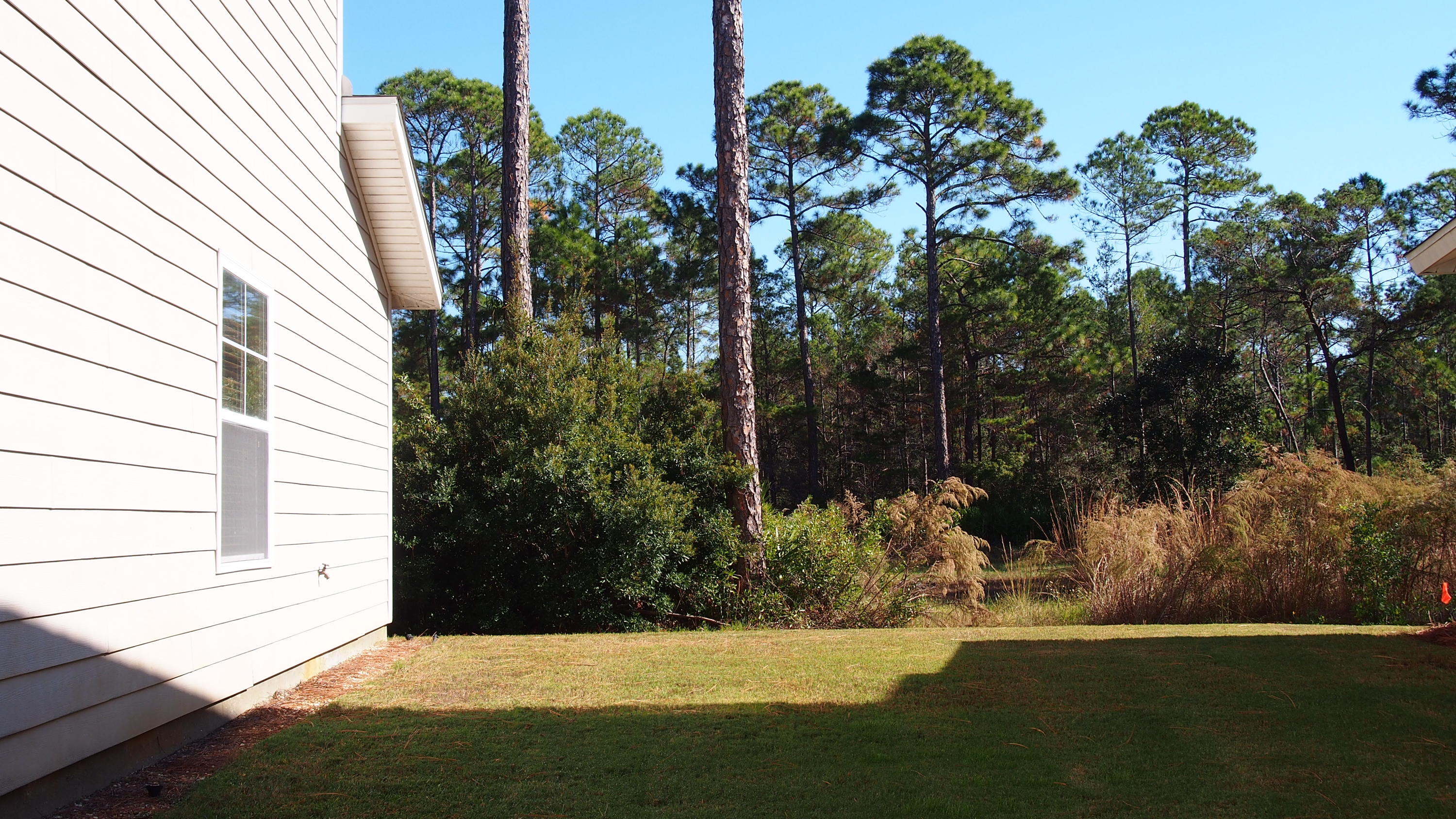201 Hackberry Way Santa Rosa Beach, FL 32459 - Photo 10 of 24 Gallery Image 10