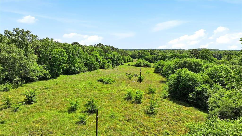 4091 County Road 2206 Rusk, TX 75785 - Photo 8 of 12 a view of a bunch of trees and bushes
