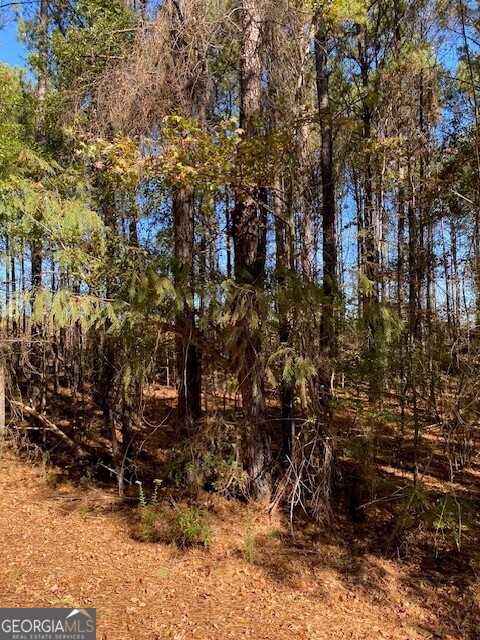 0 Triune Mill Road, Unit TRACT 200 Thomaston, GA 30286 - Photo 1 of 1 a view of outdoor space with trees