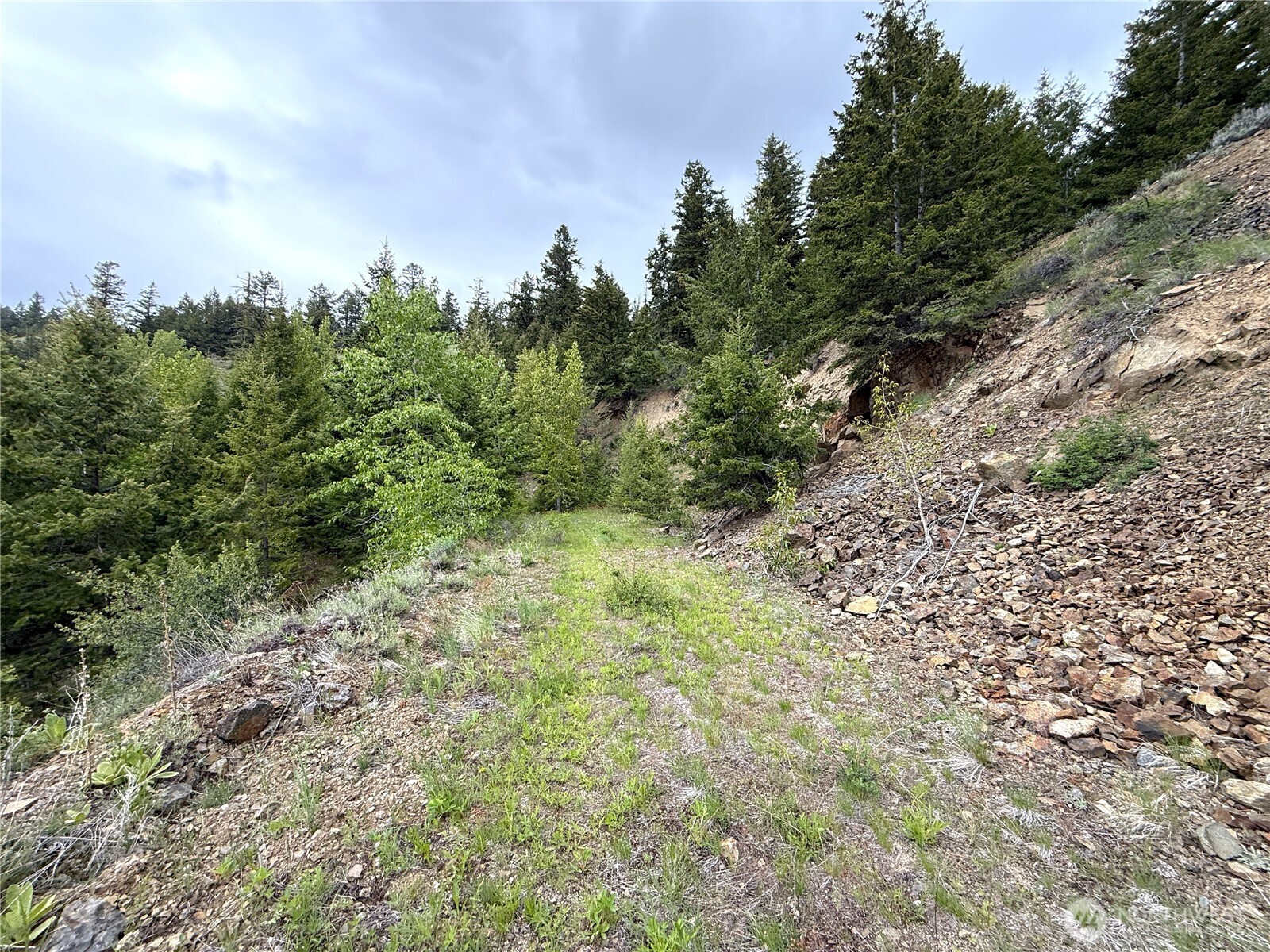 0 Pontiac Ridge Road Oroville, WA 98844 - Photo 20 of 21