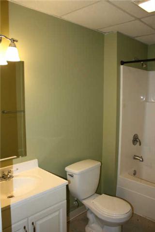 260 Dunn Fall River Road Lawrenceburg, TN 38464 - Photo 17 of 20 Basement Bathroom