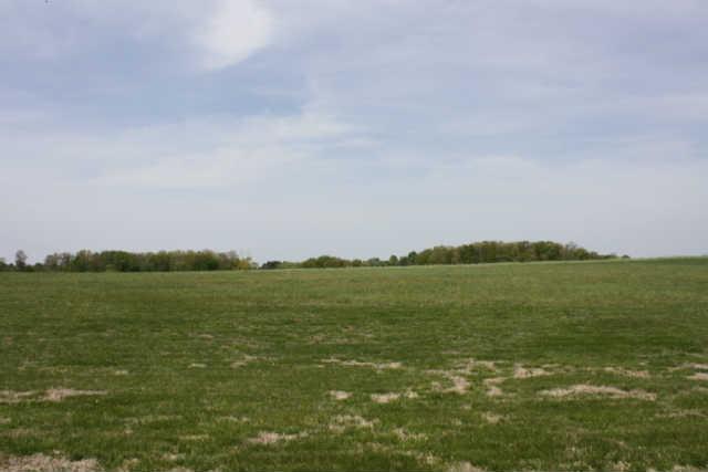 260 Dunn Fall River Road Lawrenceburg, TN 38464 - Photo 19 of 20 Country Views at their finest