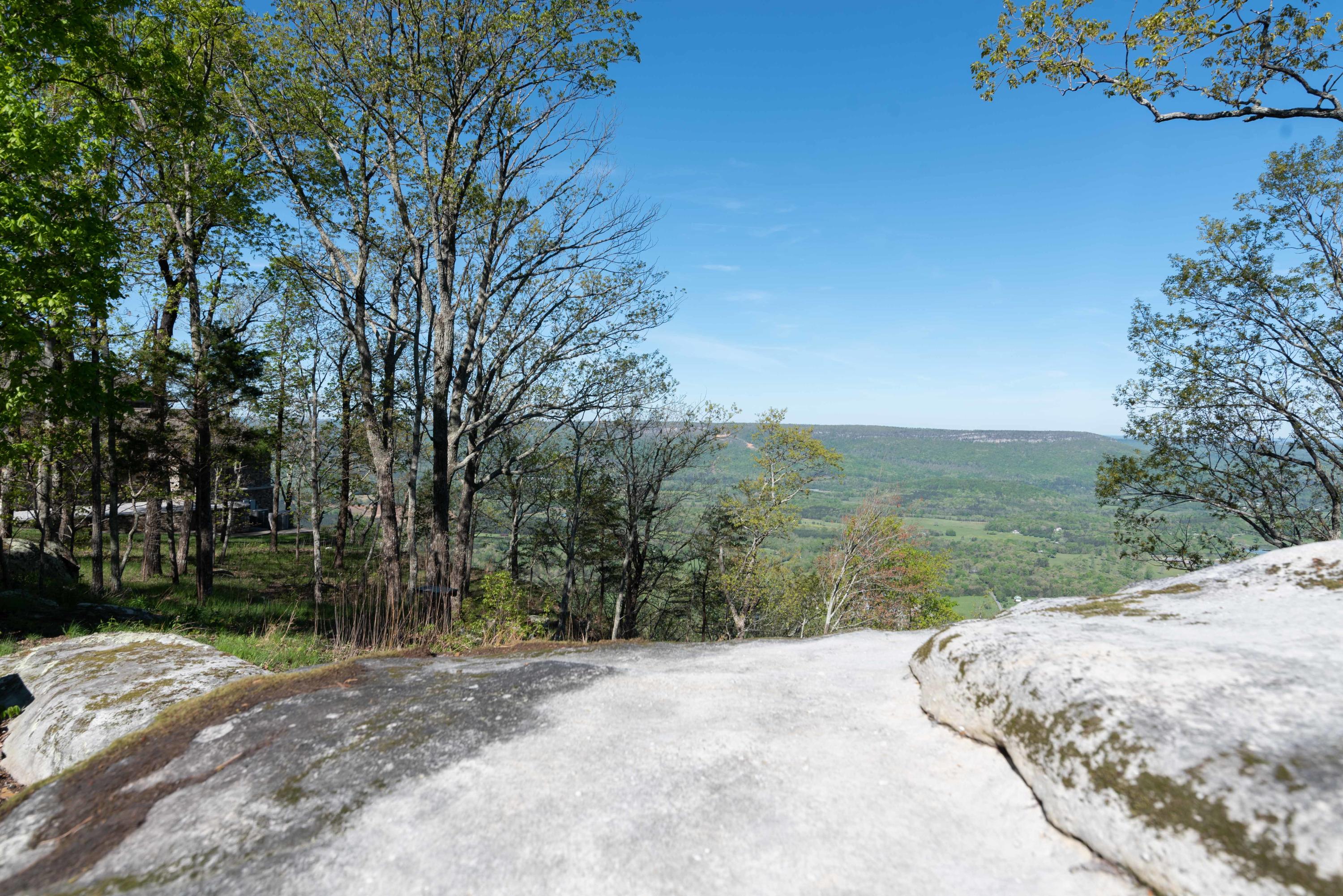 432 West Bluff Road Cloudland, GA 30731 - Photo 54 of 117 432 W Bluff Scott-14