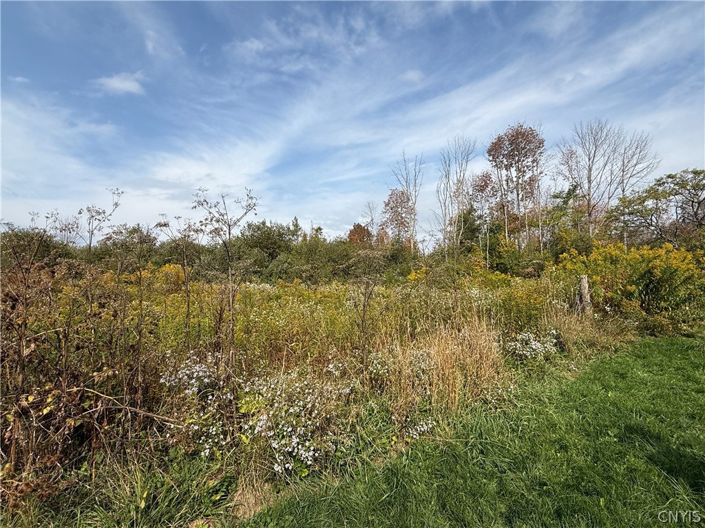11033 Francis Road Remsen, NY 13438 - Photo 8 of 32