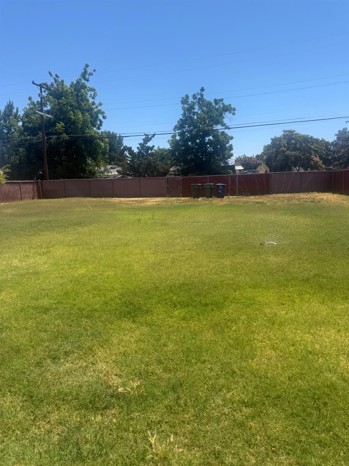 501 Rotan Avenue Madera, CA 93637 - Photo 21 of 23 a view of yard with swimming pool and trees