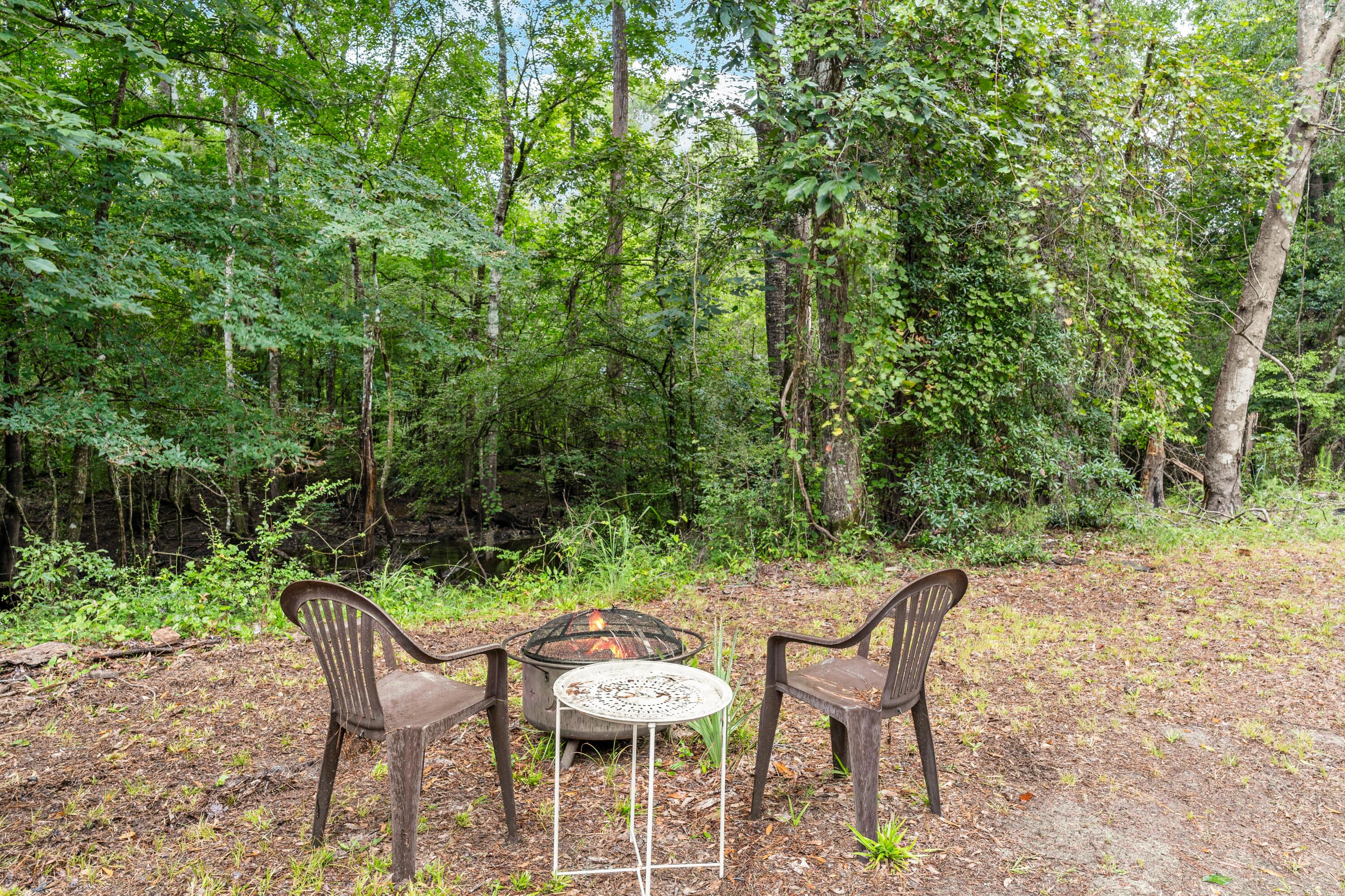 1373 Bridge Street Branchville, SC 29432 - Photo 51 of 66 DSC09333