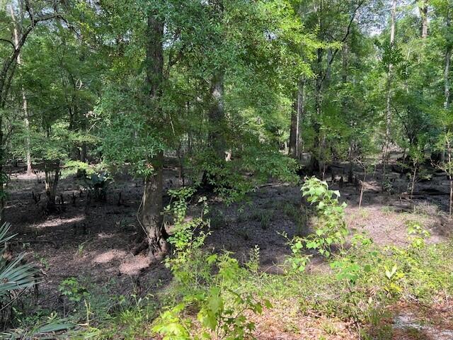 1373 Bridge Street Branchville, SC 29432 - Photo 66 of 66 5