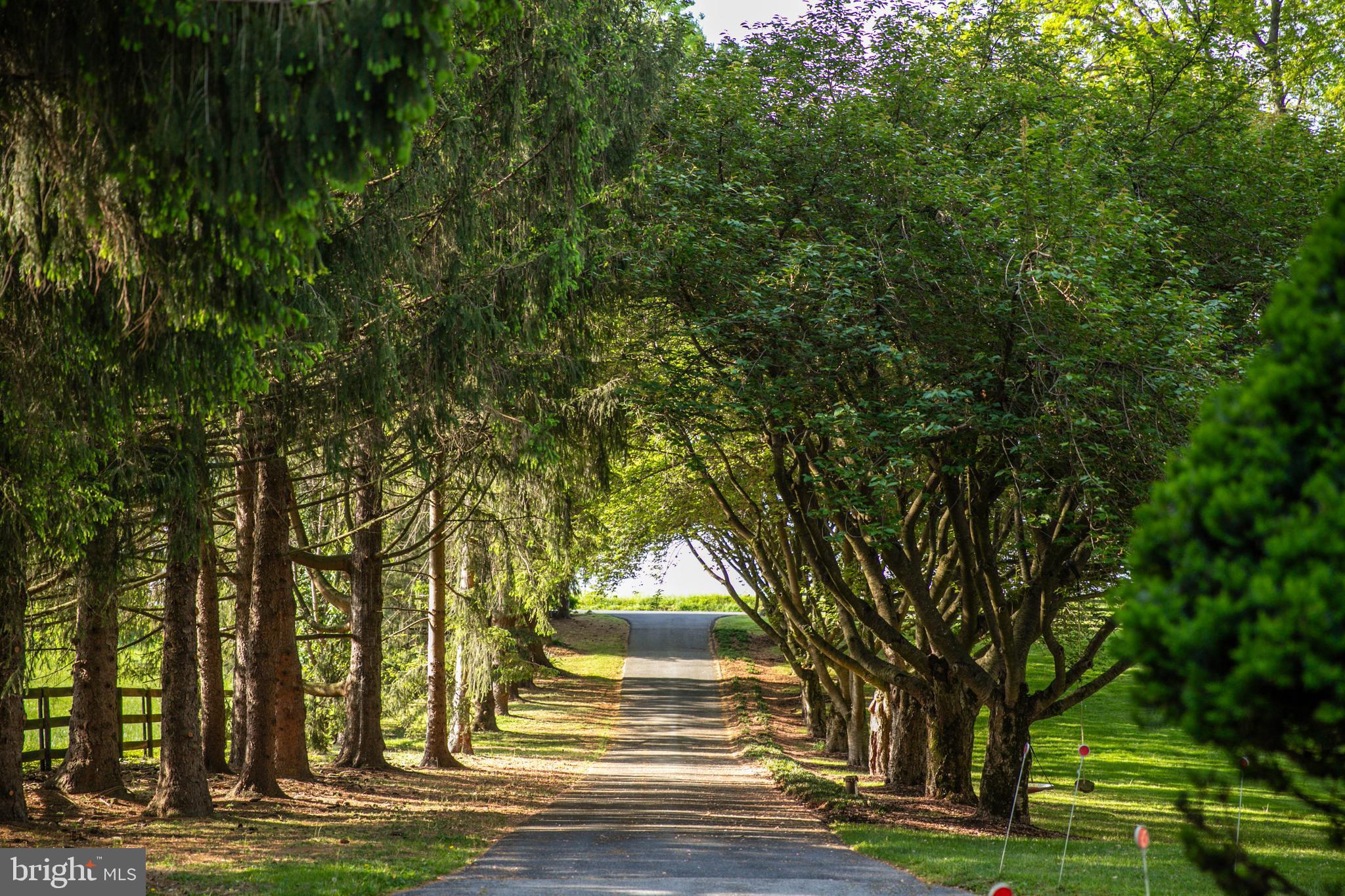 1914 Geist Road Reisterstown, MD 21136 - Photo 20 of 53