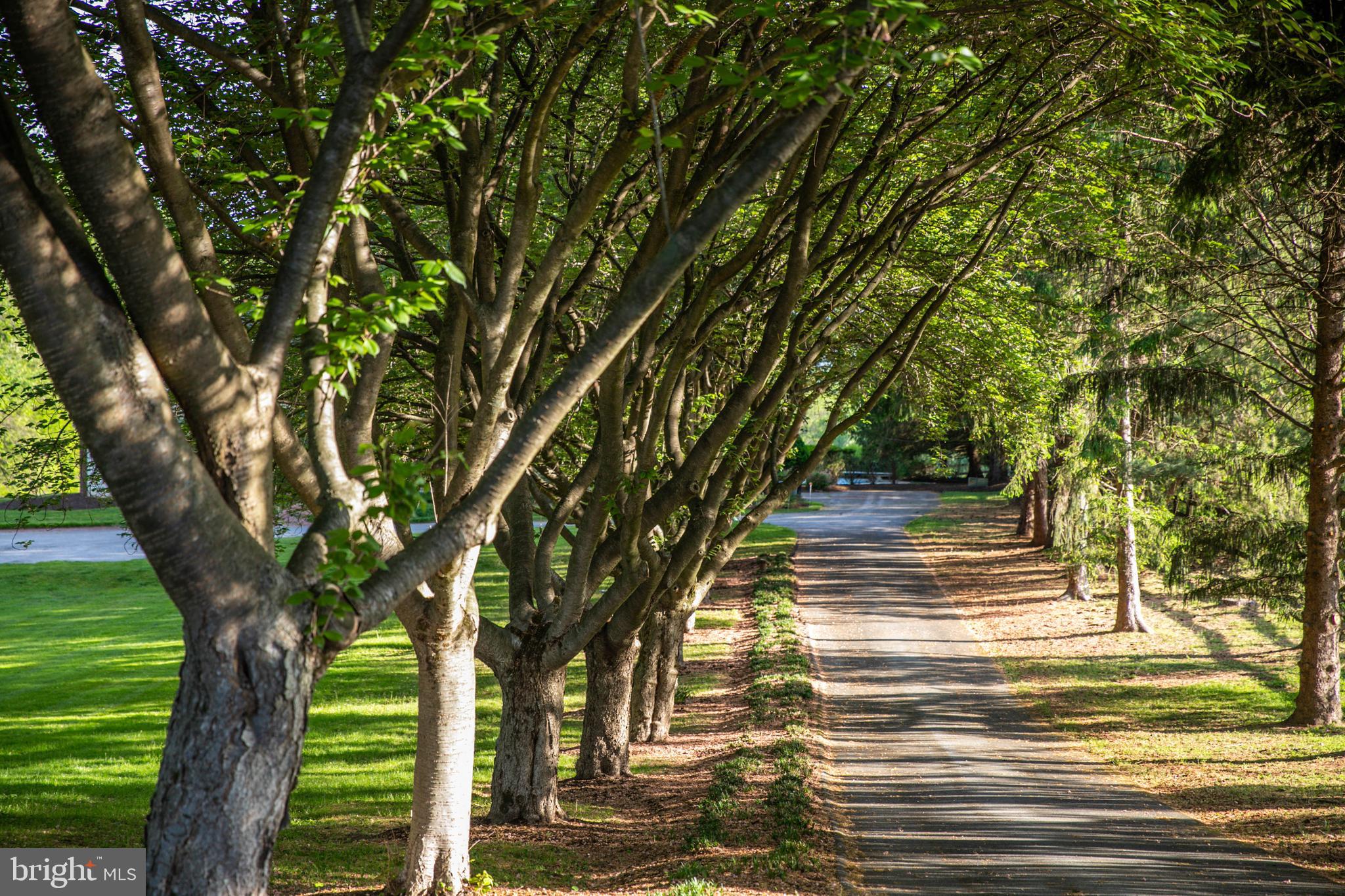 1914 Geist Road Reisterstown, MD 21136 - Photo 3 of 53