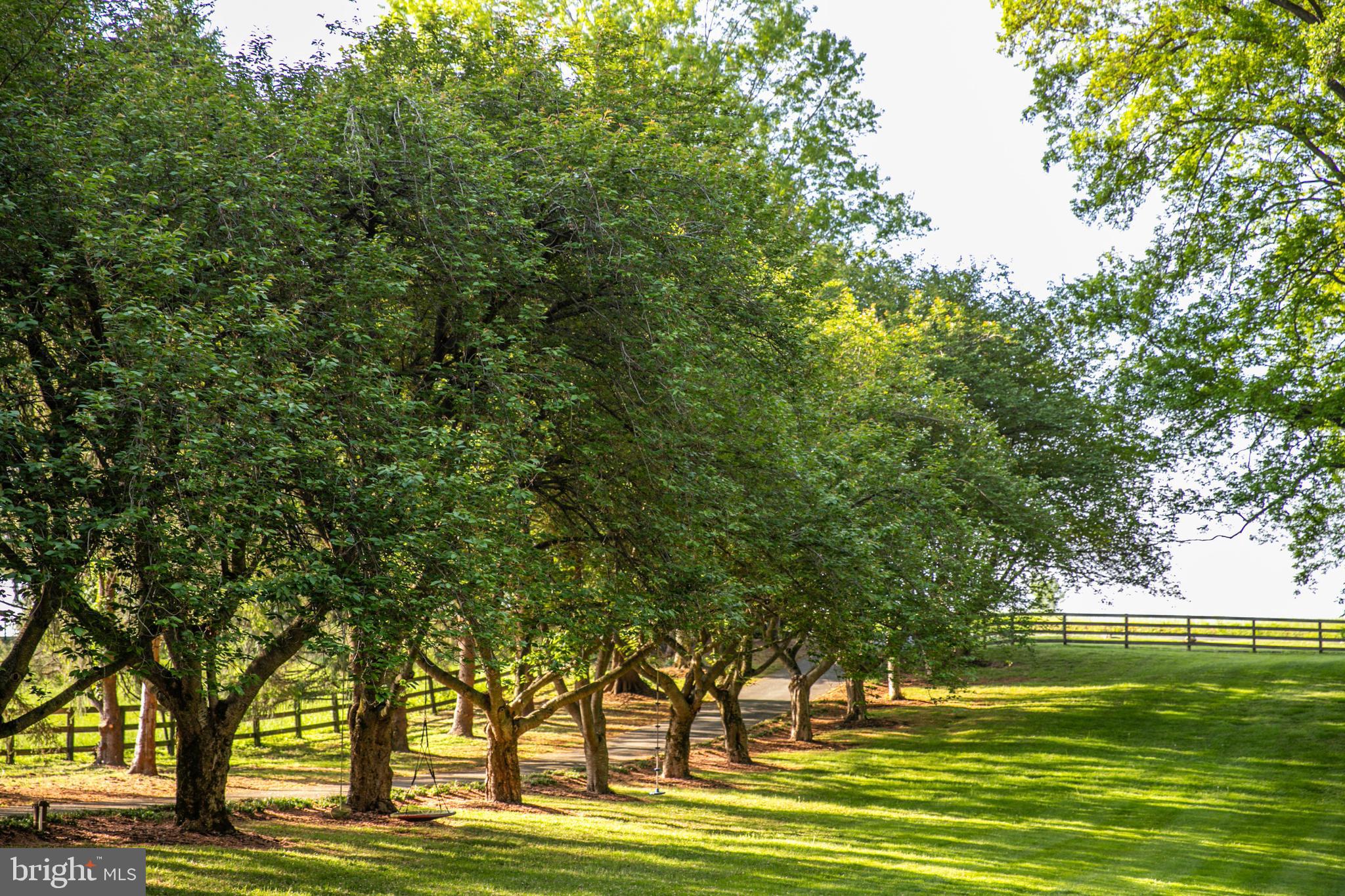 1914 Geist Road Reisterstown, MD 21136 - Photo 38 of 53