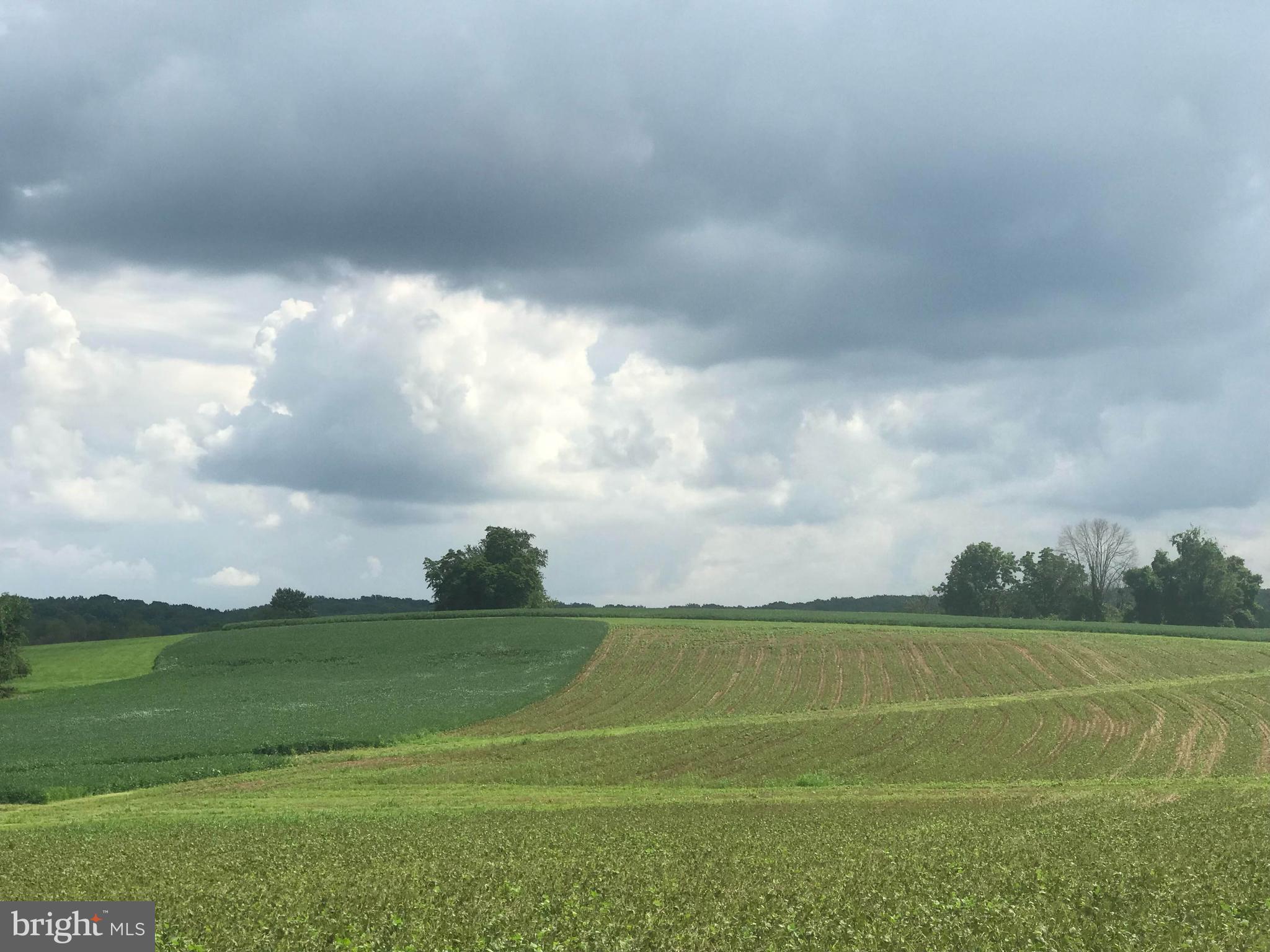 1914 Geist Road Reisterstown, MD 21136 - Photo 39 of 53