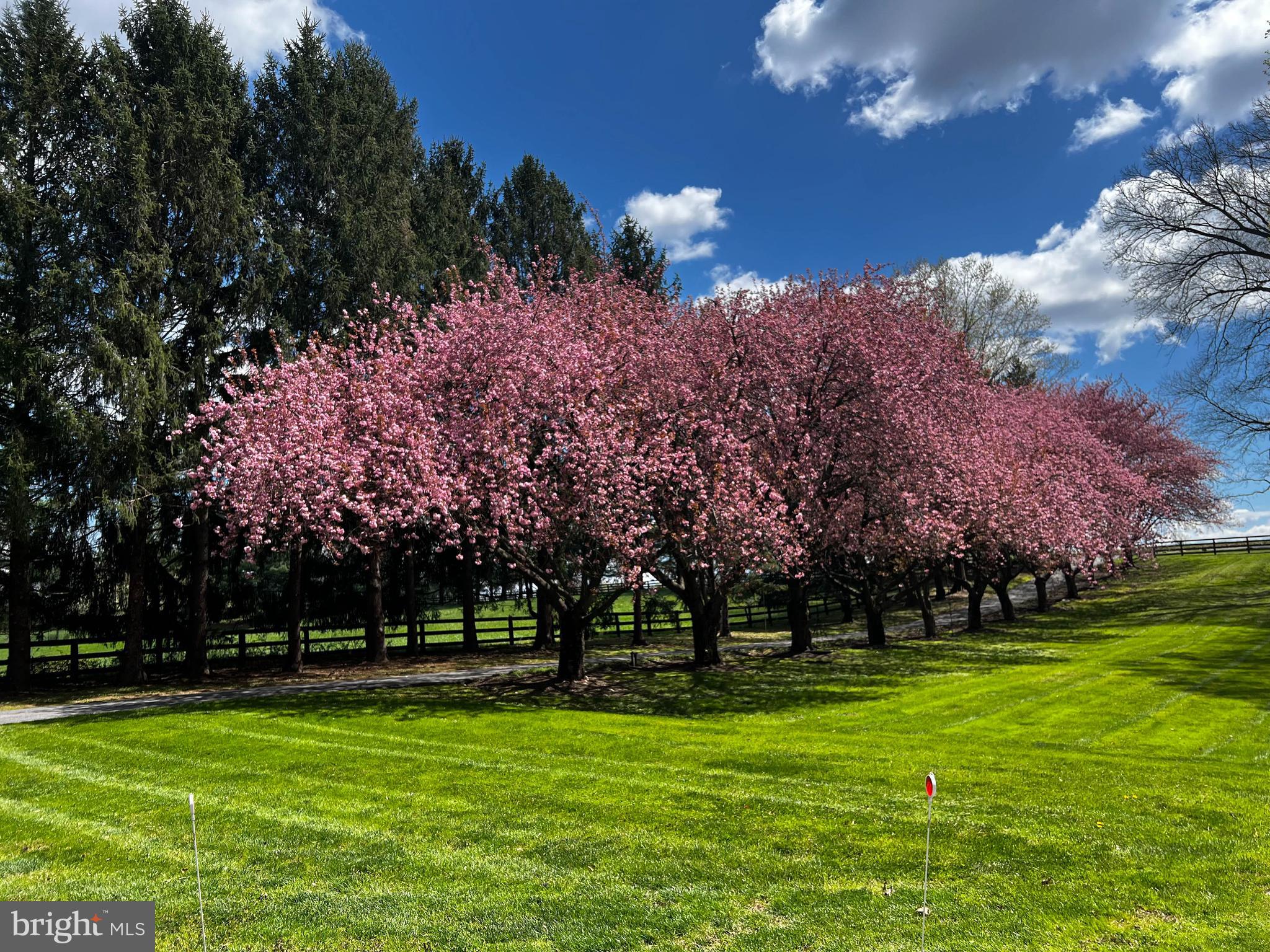 1914 Geist Road Reisterstown, MD 21136 - Photo 5 of 53