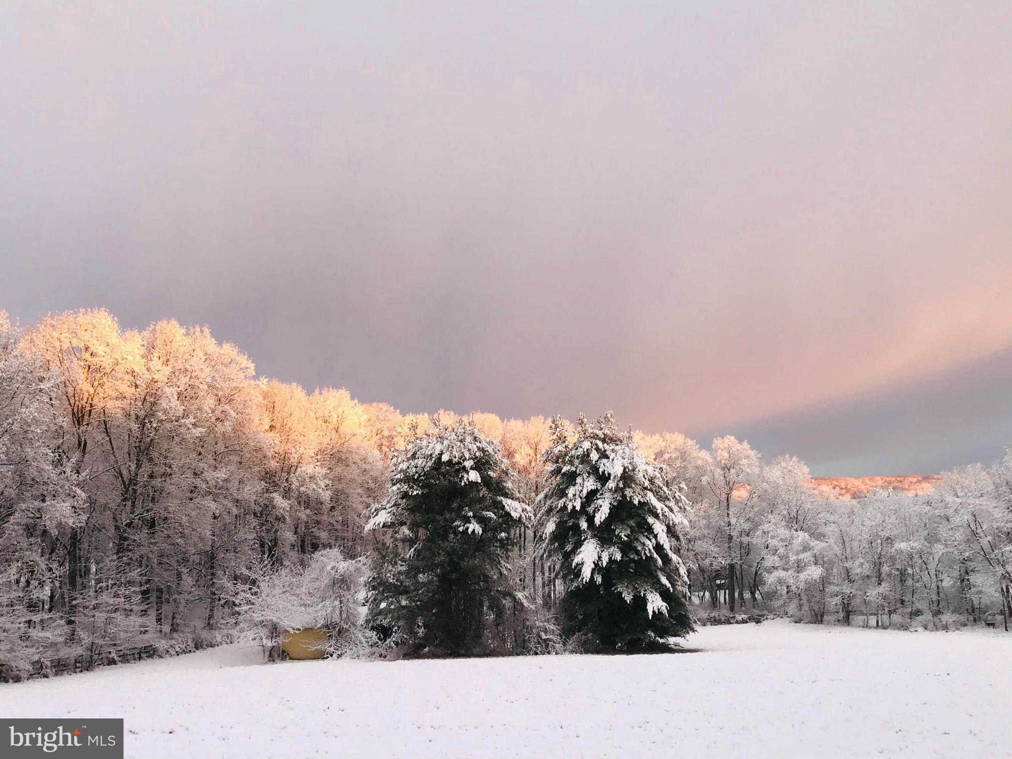 1914 Geist Road Reisterstown, MD 21136 - Photo 52 of 53