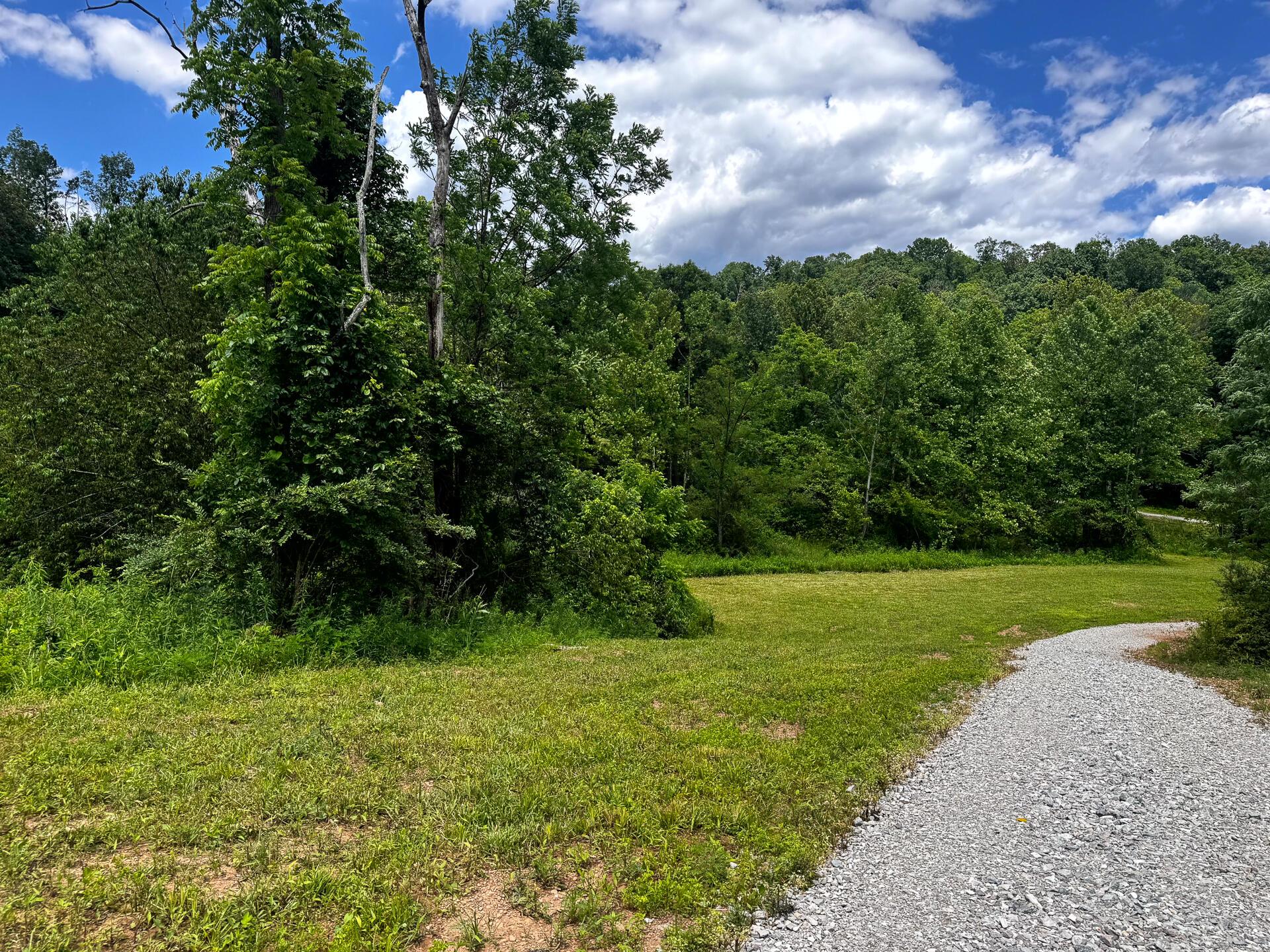 0 Barr Hollow Road Reedsville, OH 45772 - Photo 14 of 15 CT-14