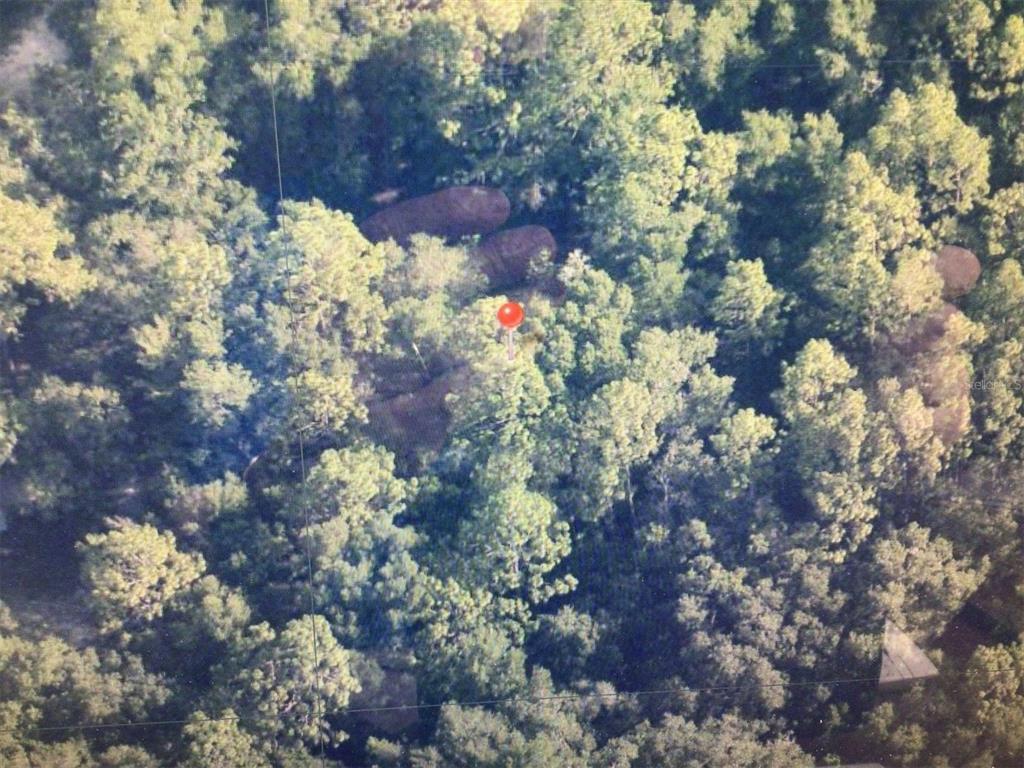 0 Southwest 153rd Lane Dunnellon, FL 34432 - Photo 5 of 10 a view of a tree