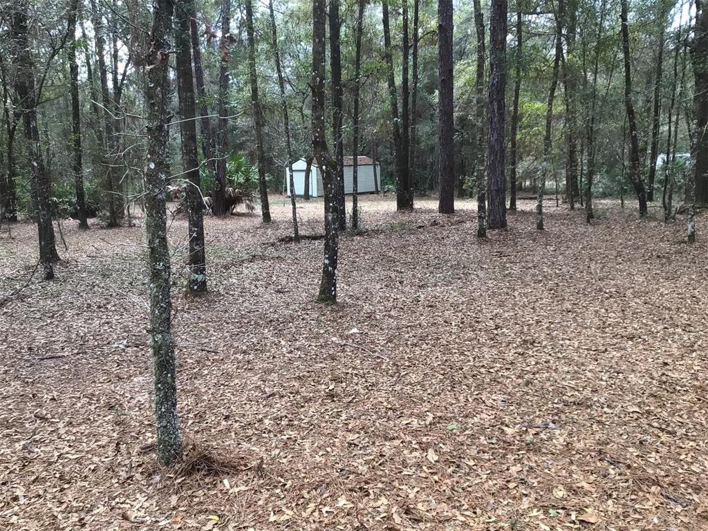 0 Southwest 153rd Lane Dunnellon, FL 34432 - Photo 6 of 10 a view of outdoor space with lots of trees