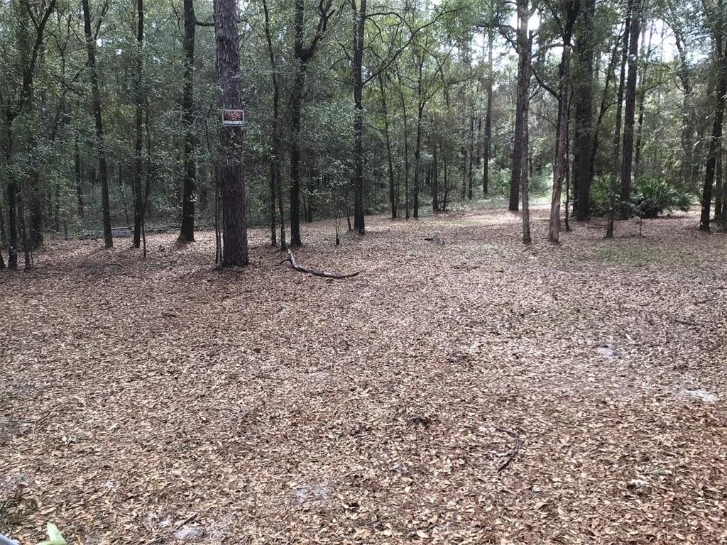 0 Southwest 153rd Lane Dunnellon, FL 34432 - Photo 8 of 10 a view of outdoor space with trees