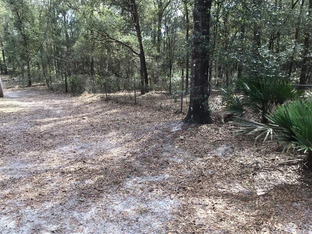 0 Southwest 153rd Lane Dunnellon, FL 34432 - Photo 10 of 10 a view of outdoor space with trees all around