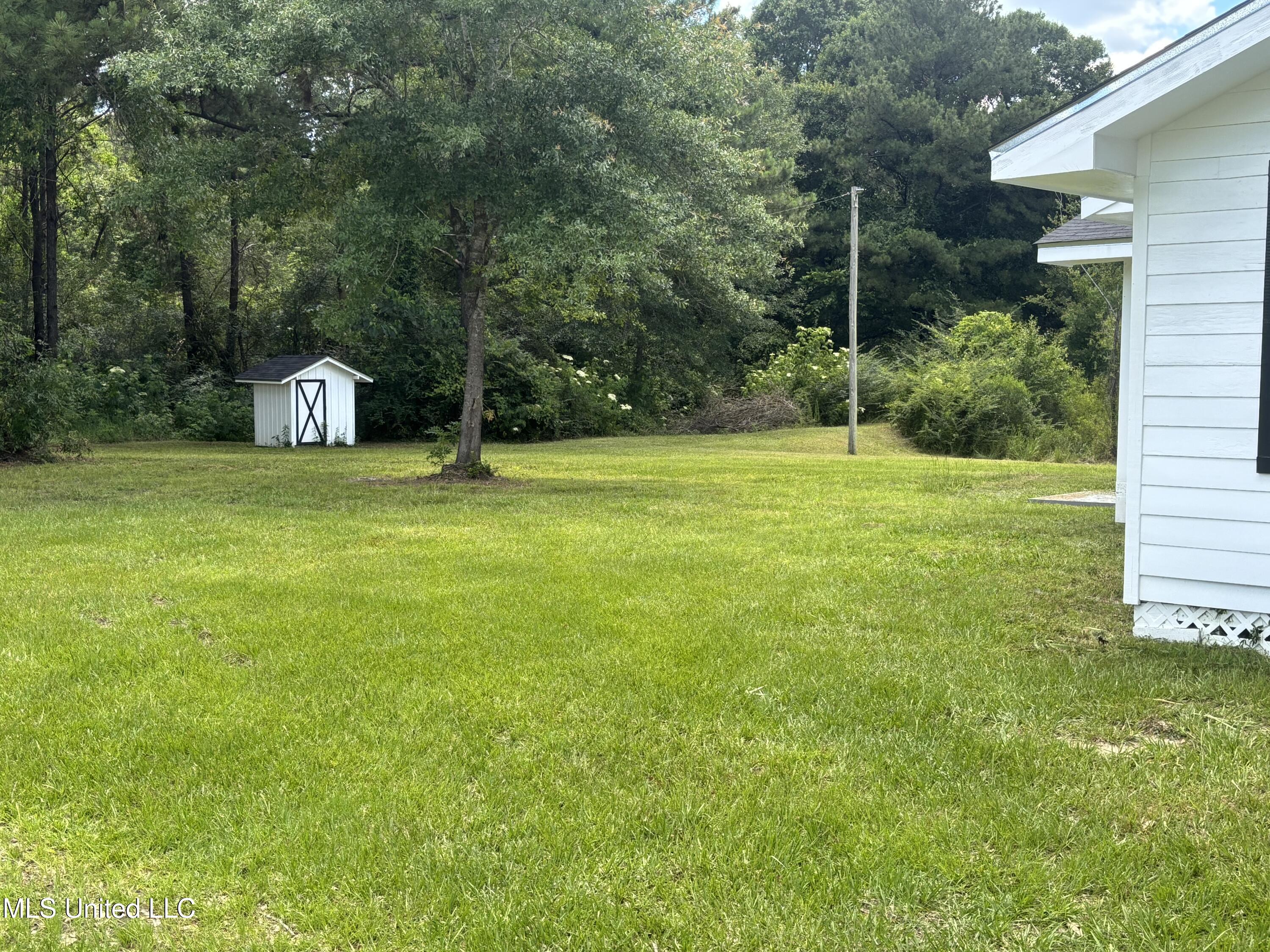 3 Jimmy Reyer Road Poplarville, MS 39470 - Photo 11 of 62 IMG_6367