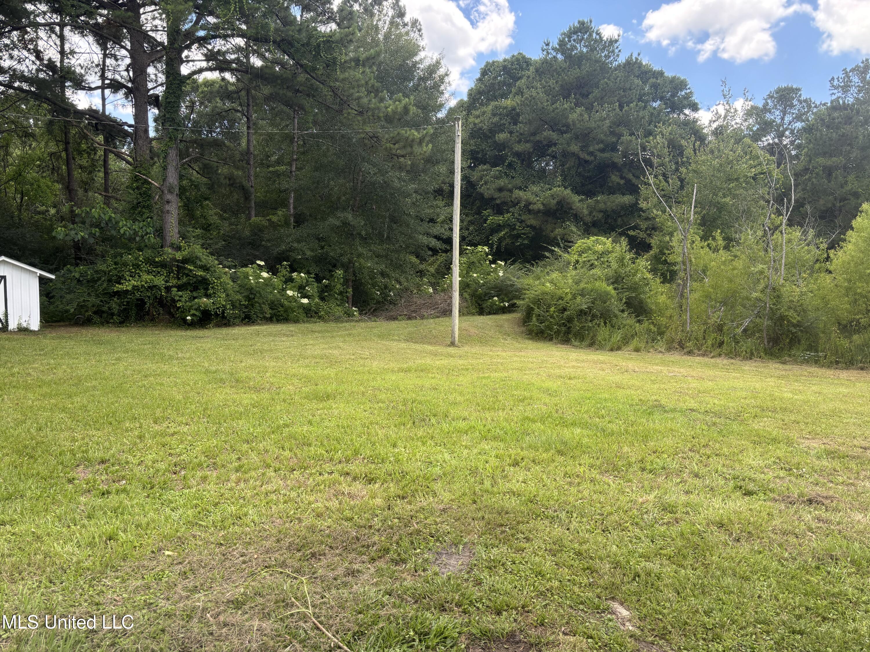 3 Jimmy Reyer Road Poplarville, MS 39470 - Photo 12 of 62 IMG_6326