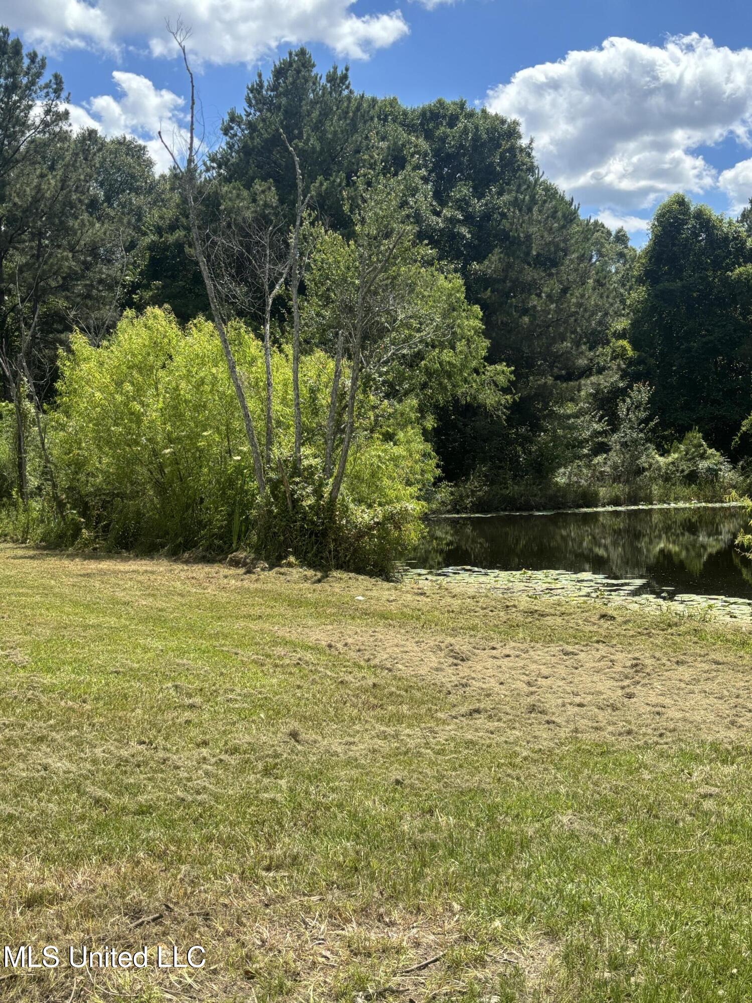 3 Jimmy Reyer Road Poplarville, MS 39470 - Photo 26 of 62 IMG_6394