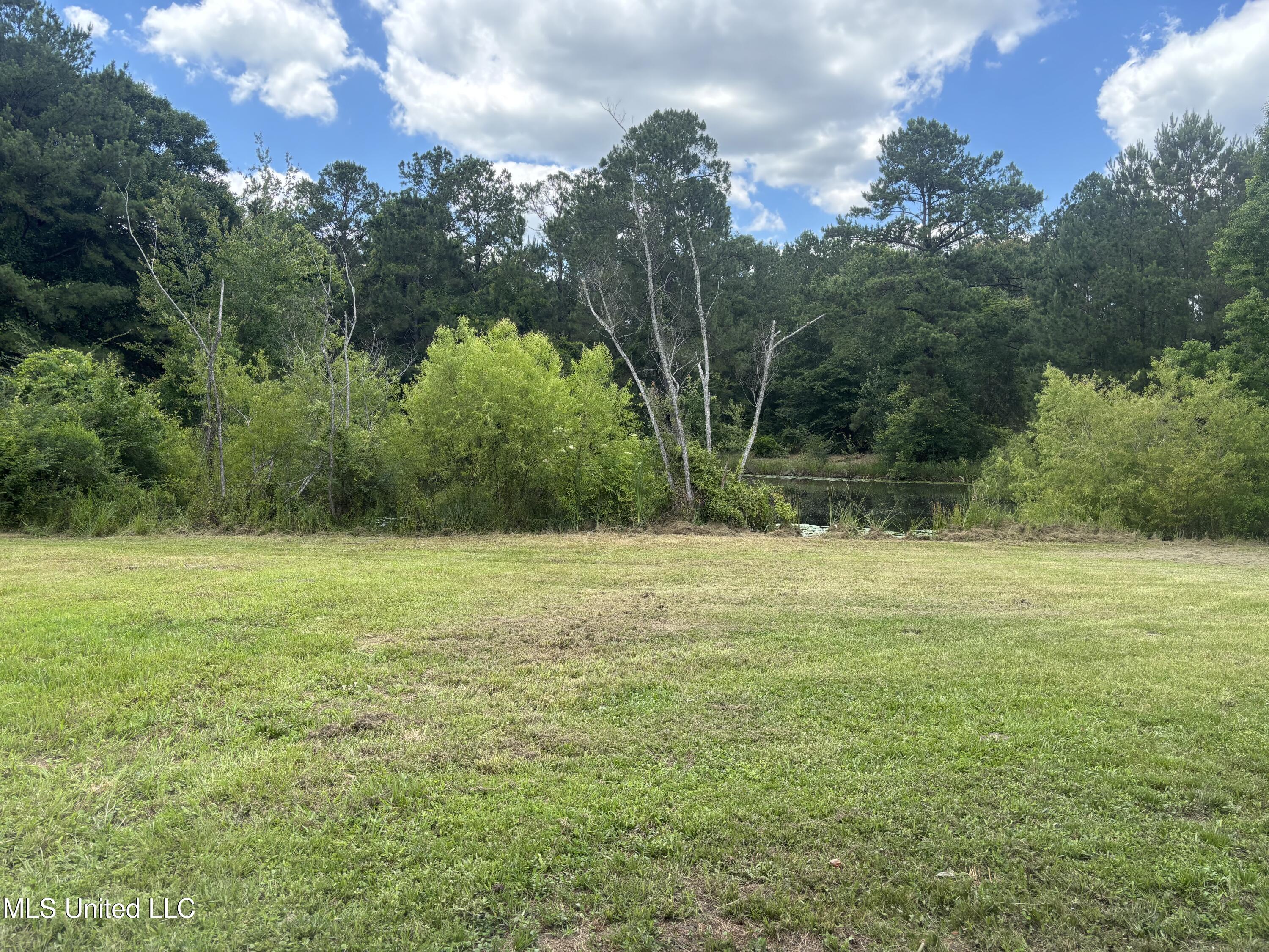 3 Jimmy Reyer Road Poplarville, MS 39470 - Photo 27 of 62 IMG_6325