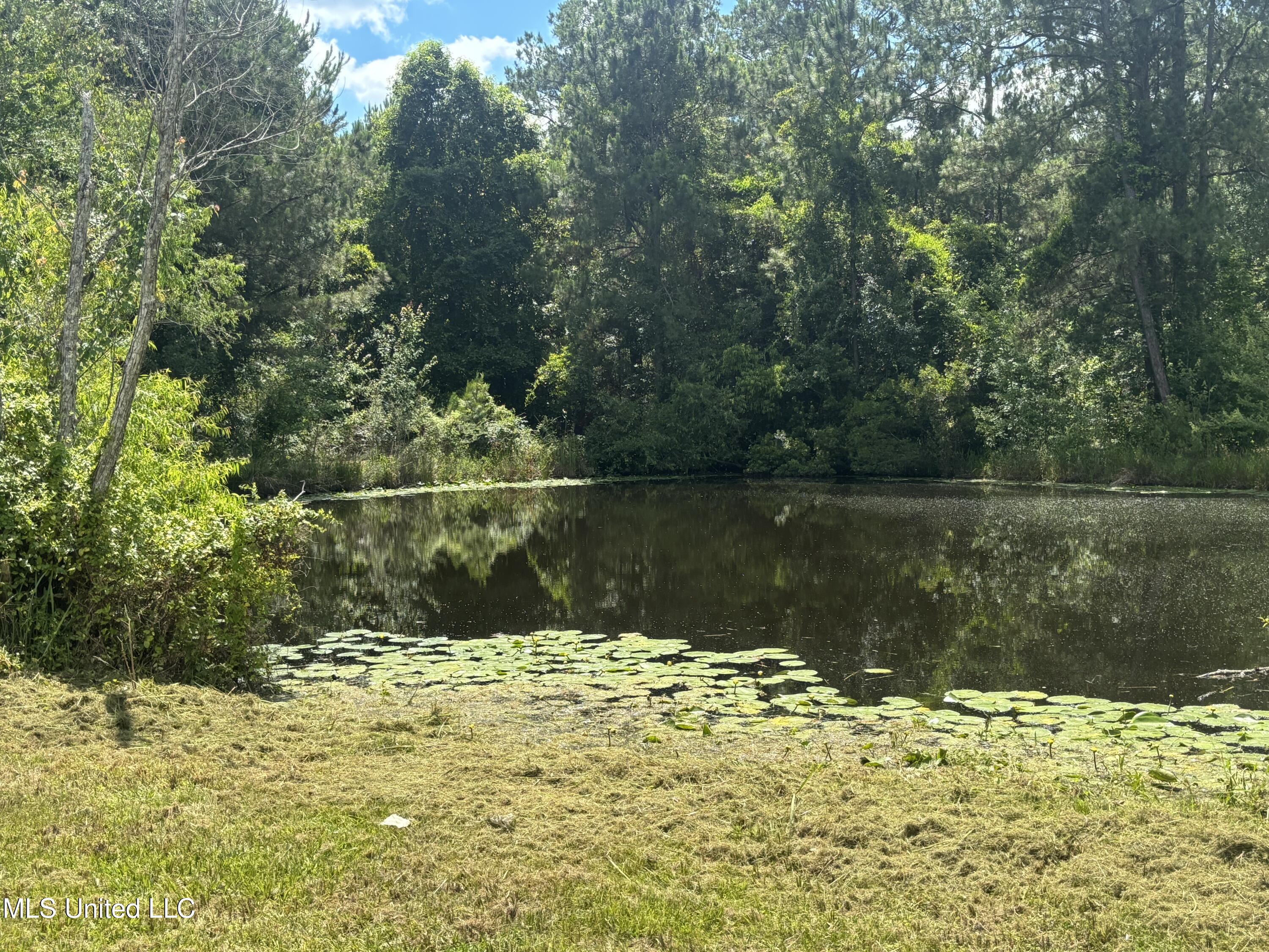 3 Jimmy Reyer Road Poplarville, MS 39470 - Photo 28 of 62 IMG_6395