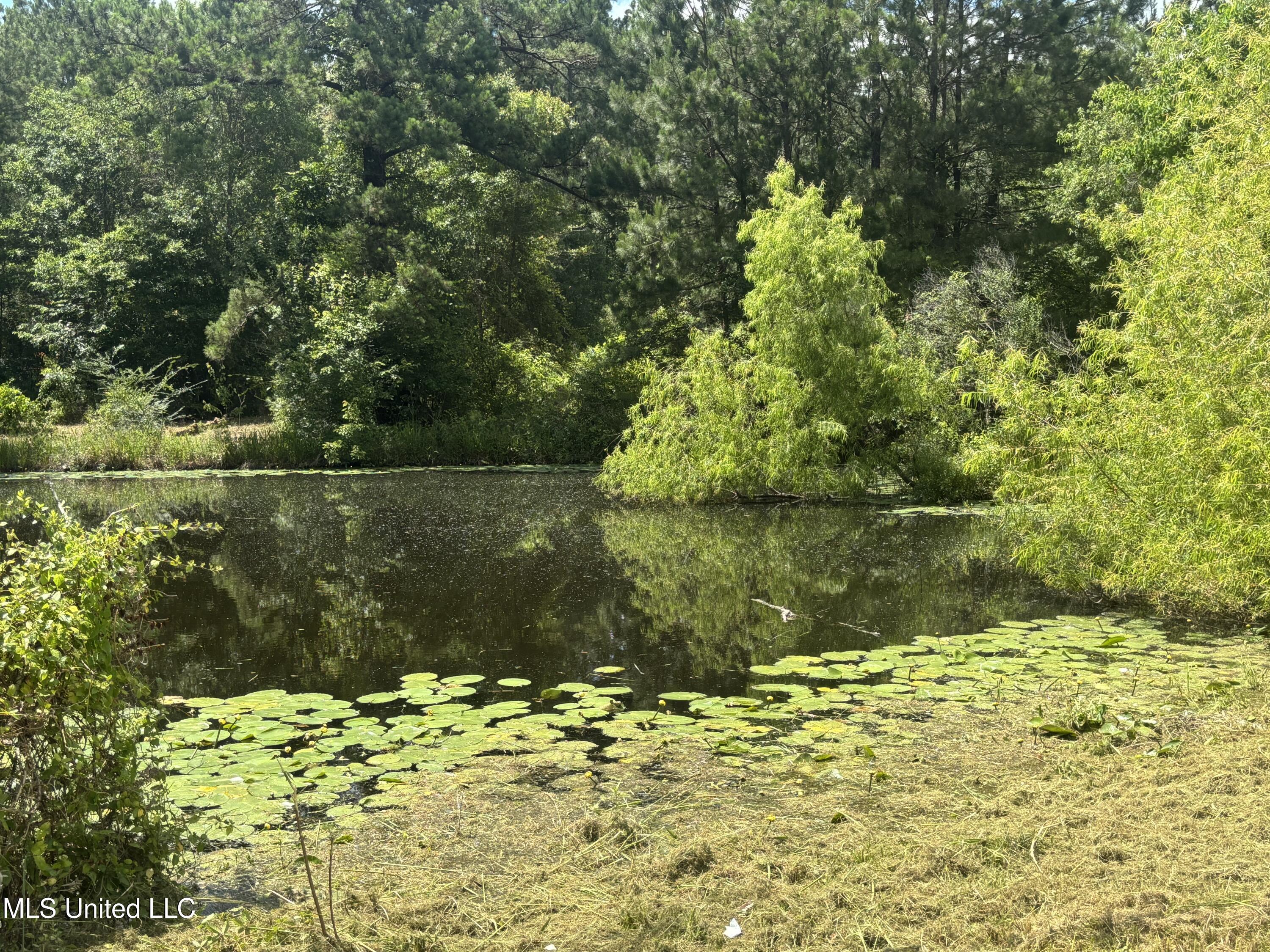 3 Jimmy Reyer Road Poplarville, MS 39470 - Photo 29 of 62 IMG_6396