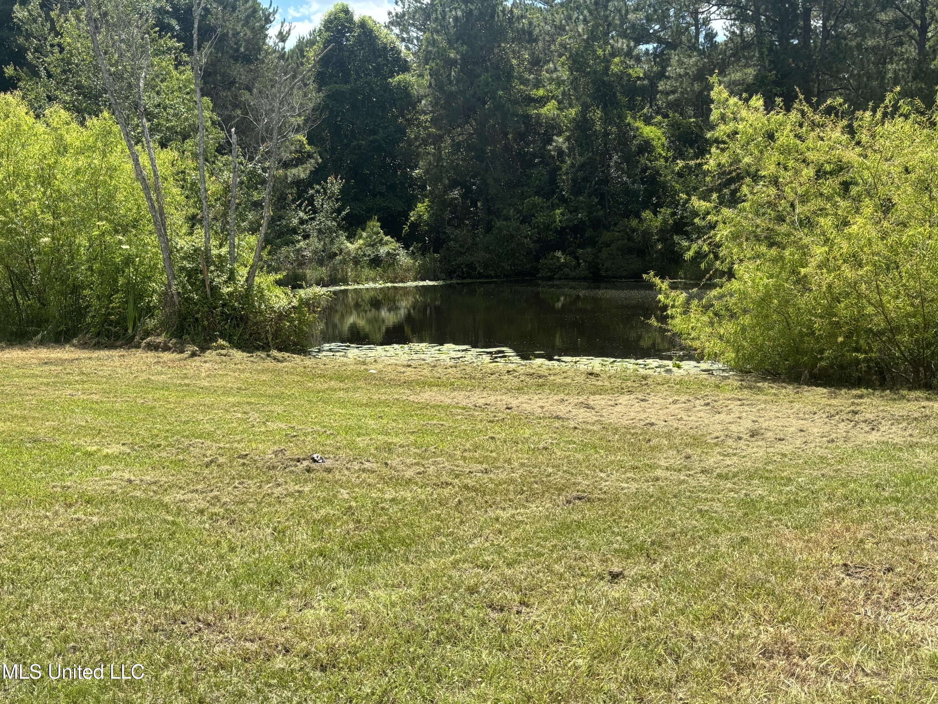 3 Jimmy Reyer Road Poplarville, MS 39470 - Photo 30 of 62 IMG_6393