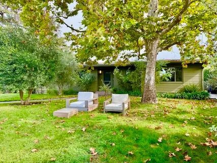 a view of a backyard with table and chairs potted plants and a large tree