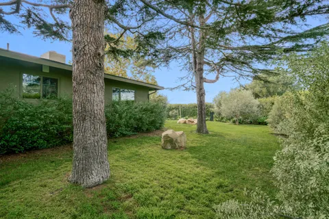 a view of a park with a tree
