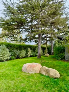 a view of a golf course with a yard