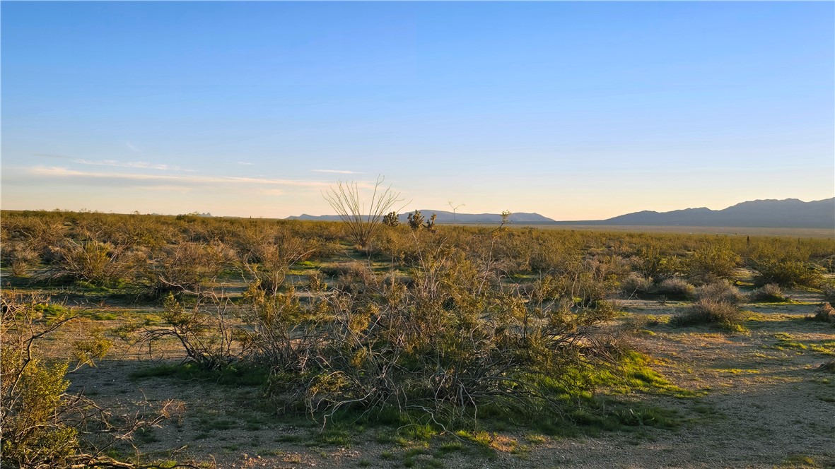 2455 South Lone Ranger Road Yucca, AZ 86438 - Photo 20 of 24 View