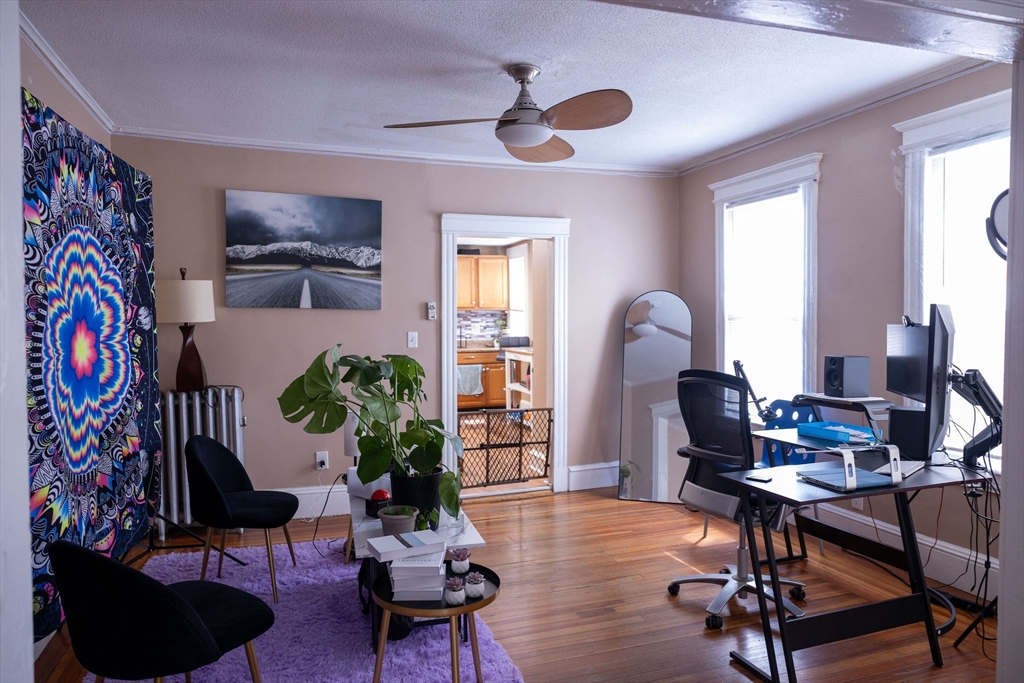 38 Greenacre Square, Unit 2 Springfield, MA 01105 - Photo 2 of 11 a living room with furniture and a potted plant
