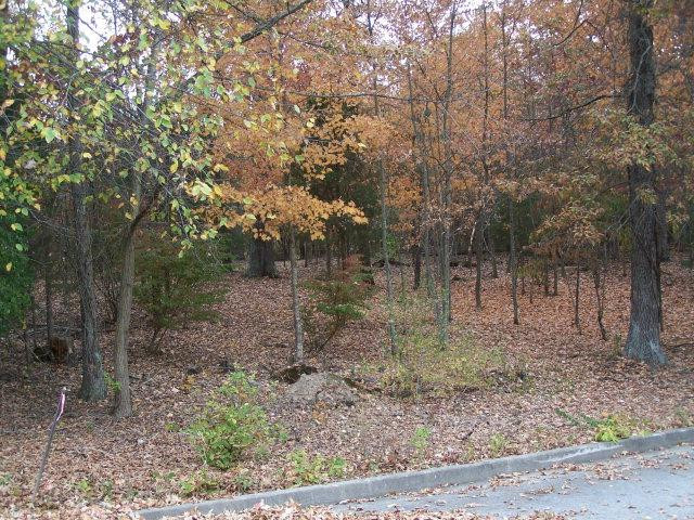 0 Ridge Avenue Berea, KY 40403 - Photo 1 of 1 Listing Photo
