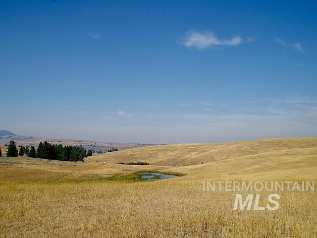 Tbd Tbd Ditch Creek Road Council, ID 83612 - Photo 9 of 11