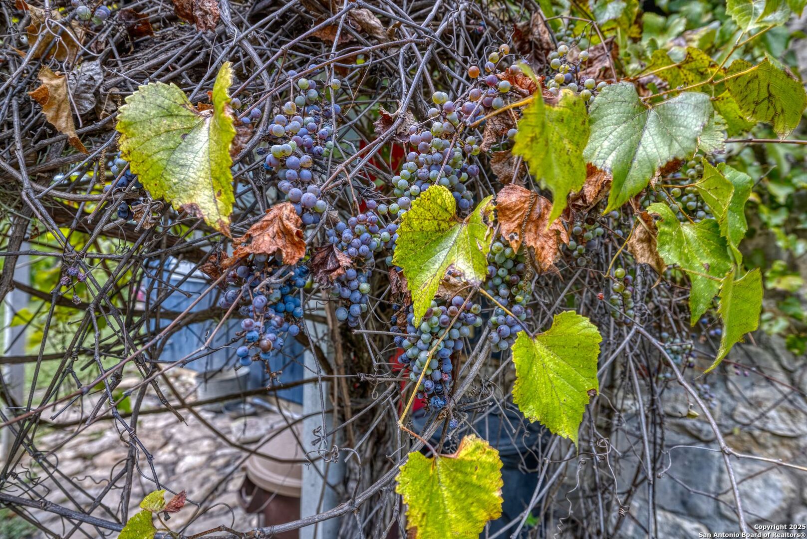 394 Squirrel Bend Uvalde, TX 78801 - Photo 13 of 80 a view of a swimming pool with a yard and sitting area