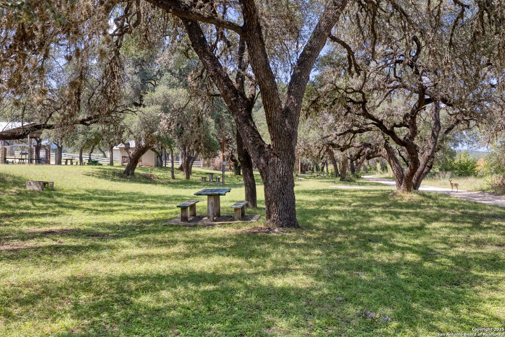 394 Squirrel Bend Uvalde, TX 78801 - Photo 37 of 80 a view of a trees in a yard with a tree