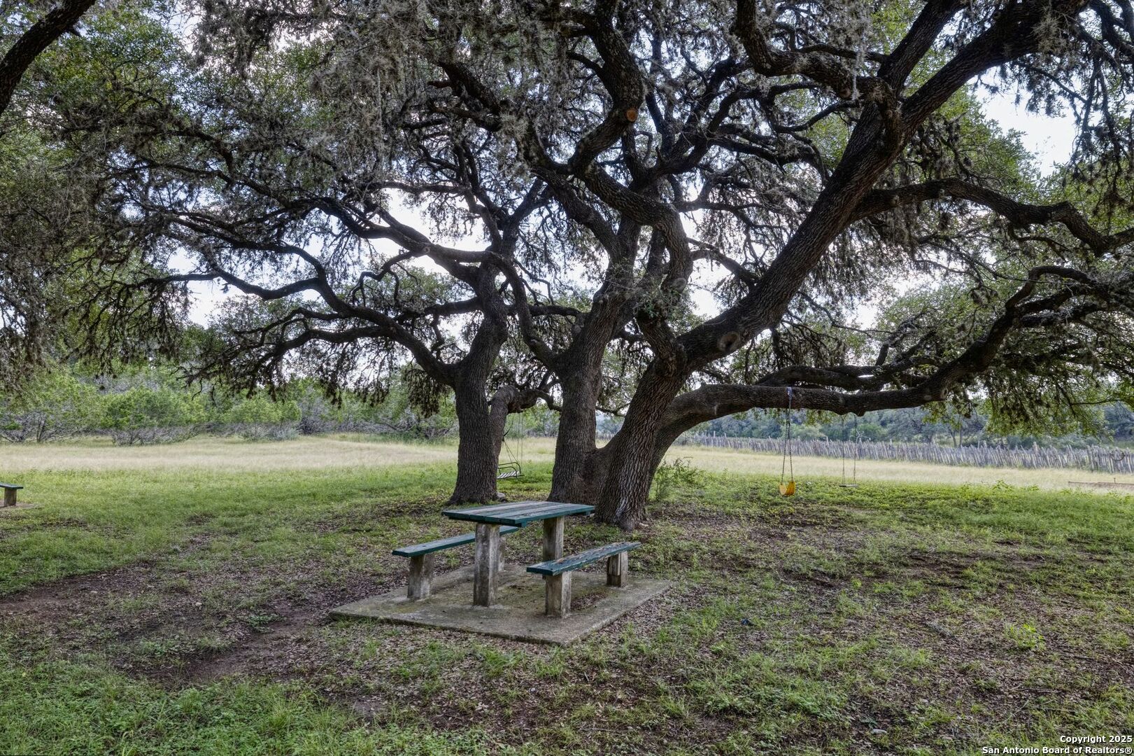 394 Squirrel Bend Uvalde, TX 78801 - Photo 41 of 80 a view of a garden with a tree