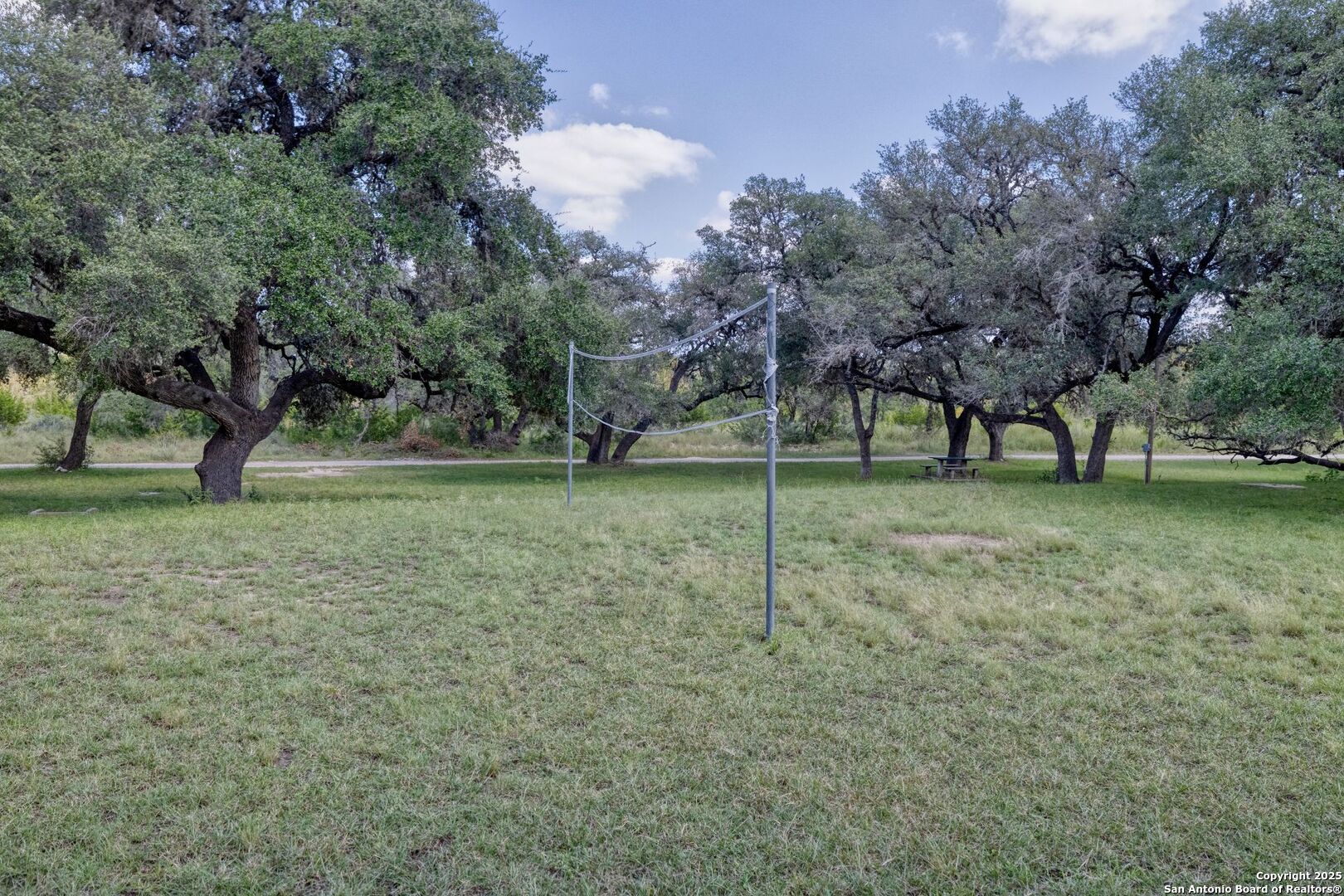 394 Squirrel Bend Uvalde, TX 78801 - Photo 45 of 80 a view of a field with tree in the background
