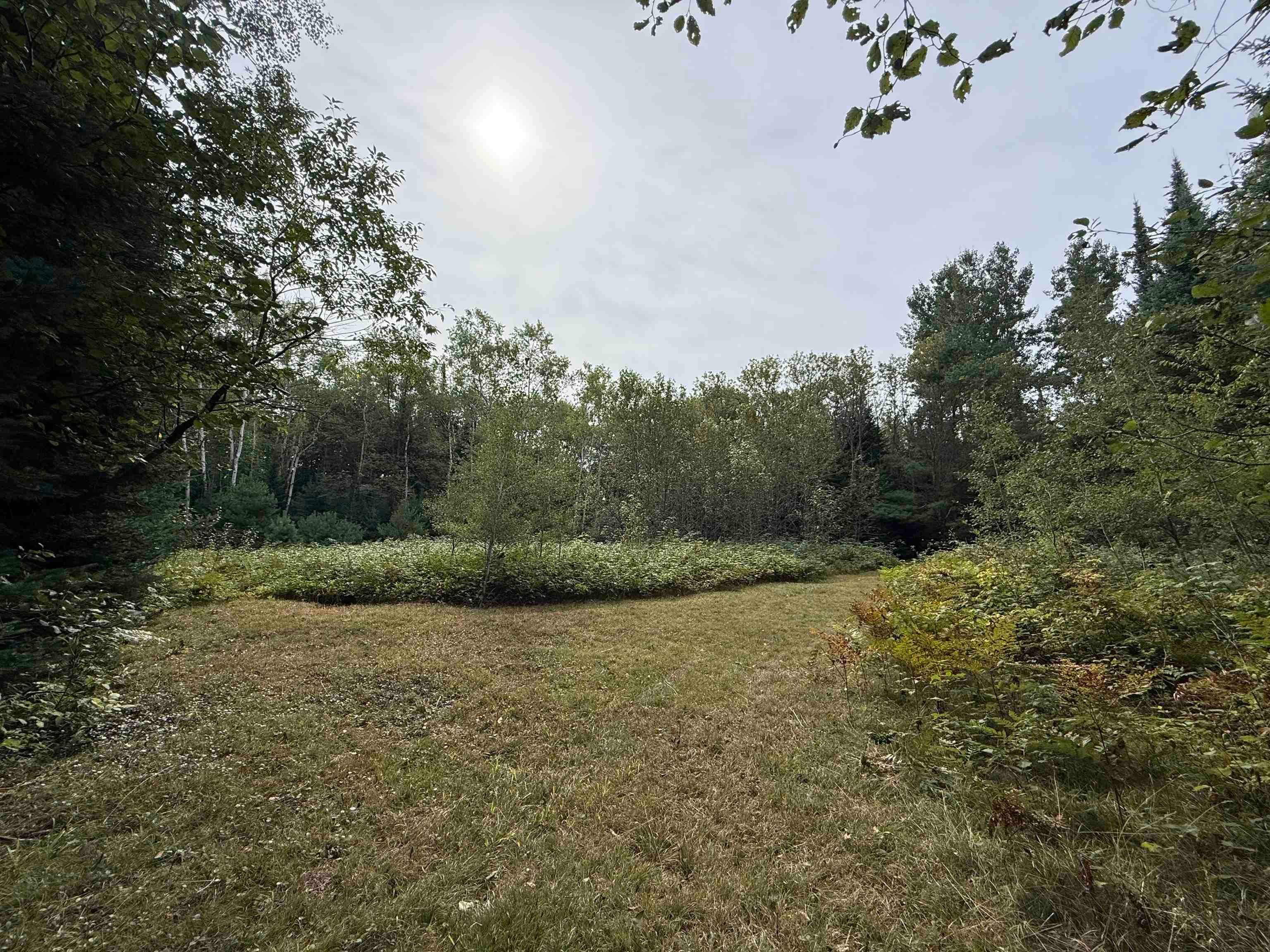 8 Laird Lake Road Hale, MI 48739 - Photo 5 of 17 Gallery Image 5