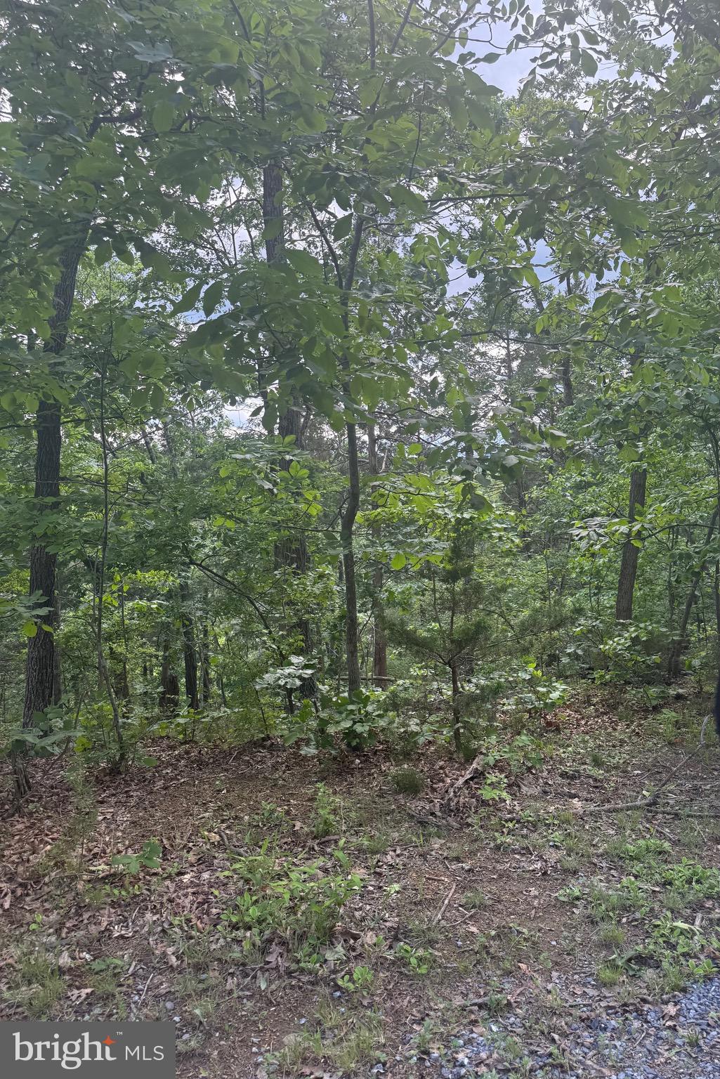 0 River Ridge Drive Middletown, VA 22645 - Photo 26 of 33
