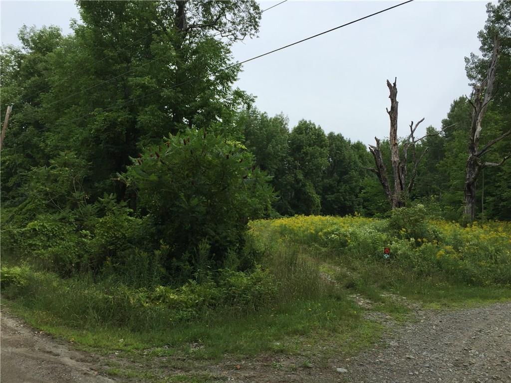 0 Hunter Strong, ME 04983 - Photo 1 of 6 Approximately 1800 ft. of road...