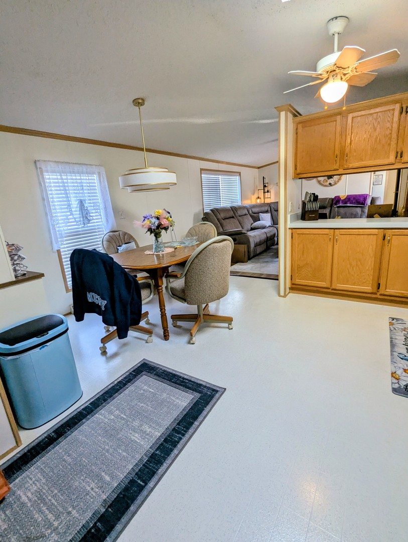 58 Swan Lane Beecher, IL 60401 - Photo 6 of 15